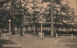 Amphitheater at Chautauqua, NY on Lake Chautauqua New York Postcard Postcard Postcard