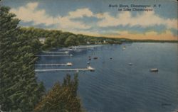 North Shore Chautauqua Lake with Boats and Docks Postcard