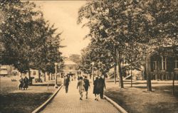 Walk from Amphitheatre, Chautauqua Institution on Lake Chautauqua Postcard