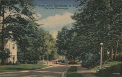 Scenic Drive on Lake Chautauqua, New York Postcard