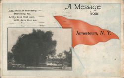 Big Willows, Nevada Mills, NY - Friendship Message Jamestown, NY Postcard Postcard Postcard