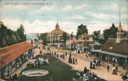 Celoron, NY - General View of Amusement Park & Carousel Postcard