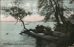 Victoria Dock on Chautauqua Lake, NY Postcard