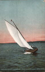 Racing Sloop "Humbug" on Chautauqua Lake Postcard