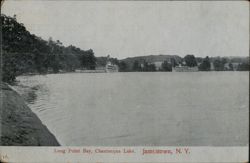 Steamboats Docked at Long Point Bay, Chautauqua Lake Jamestown, NY Postcard Postcard Postcard