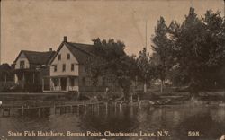 State Fish Hatchery, Bemus Point, Chautauqua Lake, NY New York Postcard Postcard Postcard