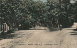 The Forks Road, Bemus Point, NY, Tree-Lined Street Scene New York Postcard Postcard Postcard