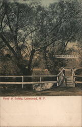 Pond of Safety Footbridge, Lakewood, NY Postcard