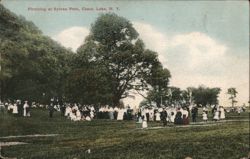 Picnicking at Sylvan Park, Chautauqua Lake Postcard