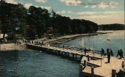 Maple Springs Pier and Chautauqua Lake New York Postcard Postcard Postcard