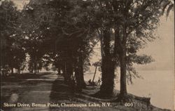 Shore Drive, Bemus Point on Chautauqua Lake New York Postcard Postcard Postcard