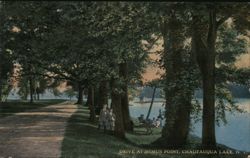 Bemus Point Drive, Chautauqua Lake New York Postcard Postcard Postcard