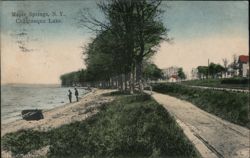 Maple Springs, Chautauqua Lake, NY - Lakeside View with Figures Postcard