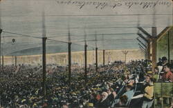 Grandstand Crowd Scene Postcard