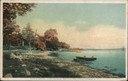 Chautauqua Institution North Shore, Boats & Trees New York Postcard Postcard Postcard