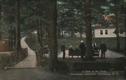 A Game in the Shade, Chautauqua Institution Postcard