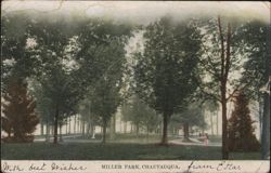 Miller Park, Chautauqua, New York Postcard