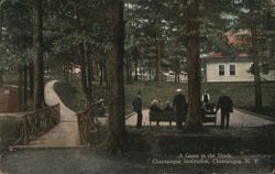 A Game in the Shade, Chautauqua Institution New York Postcard Postcard Postcard