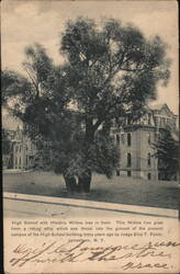 Jamestown High School with Historic Willow Tree New York Postcard Postcard Postcard