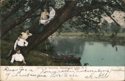 Bunch of Beauties, Chautauqua Lake Postcard