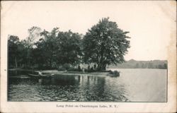 Long Point on Chautauqua Lake Postcard