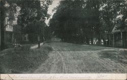 The Oaks, Bemus Point, NY - Tree-Lined Street View New York Postcard Postcard Postcard