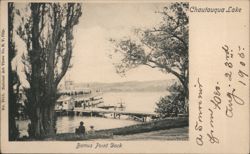 Remus Point Dock, Chautauqua Lake Boats, Ships Postcard Postcard Postcard