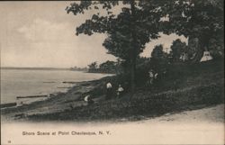 Shore Scene at Point Chautauqua, New York Postcard Postcard Postcard