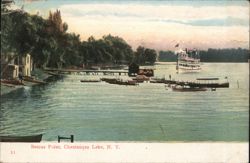 Bemus Point Postcard