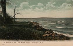 A Breeze on the Lake, Chautauqua, NY New York Postcard Postcard Postcard