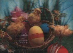 Baby Chicks and Colored Eggs in a Basket Postcard