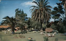 Ranchotel San Luis Obispo, CA Postcard Postcard Postcard