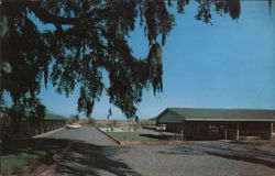 The Carolinian Motel, Georgetown, South Carolina - Pool and Parking Area Postcard Postcard Postcard