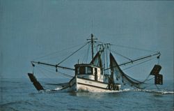 Shrimp Boat Heading Home, Hilton Head Island South Carolina Postcard Postcard Postcard