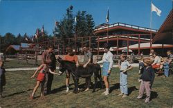 Pet Donkey "Snowshoe" at Mt. Snow Base Lodge, Vermont Postcard