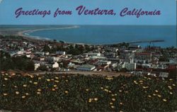 Ventura, California and Pierpont Bay Aerial View Postcard