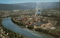 The American Viscose Plant Postcard