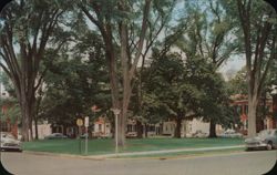 Tree-Shaded Dover Green, Delaware Postcard Postcard Postcard