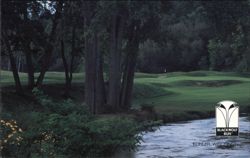 Blackwolf Run Golf Course, Hole 13, Tall Timber Postcard