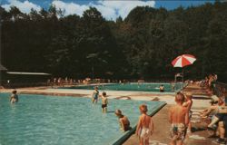 Fancher Pool, Allegheny State Park, Quaker Area, New York Postcard