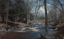 New Hampshire Stream with Trees and Rocks Postcard