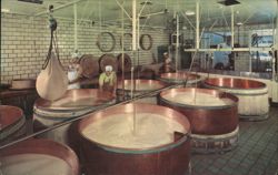 Swiss Cheese Making at Alpine Cheese Factory, Wilmot, OH Postcard