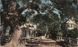 Along Rocky Point Village Street, Ocracoke Island, NC North Carolina Postcard Postcard Postcard