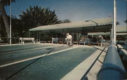 Shuffleboard Courts at Delray Beach, Florida Postcard Postcard Postcard