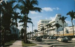 Lincoln Road, Miami Beach, Florida: A Postcard from 1955 H. Hannau Postcard Postcard