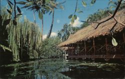 Thatched Roof Restaurant on the Water with Lilies Honolulu, HI Postcard Postcard Postcard