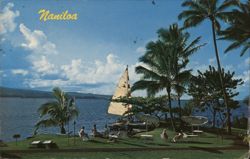 Naniloa Hotel Grounds, Hilo, Hawaii Postcard Postcard Postcard