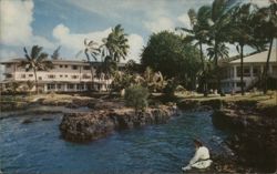 Naniloa Hotel, Hilo, Hawaii: Lush Tropical Grounds and Ocean View Postcard Postcard Postcard