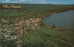 Aerial View of Hilo, Hawaii Postcard Postcard Postcard