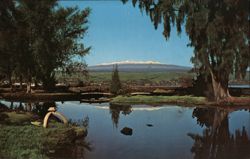 Mauna Kea Reflection, Hilo, Hawaii Postcard Postcard Postcard